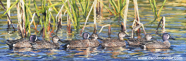 Ducks in a Row 10"x30"